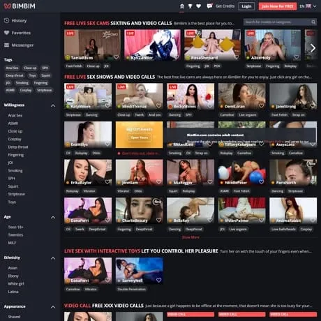 BimBim, a pioneering platform that blends social media with live porn cams - X PornDude