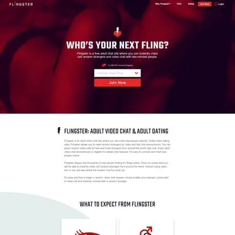Flingster - A Free Adult Video Chat Site for Anonymous Hookups X ThePornDude
