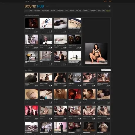 Exploring the World of BDSM - X ThePornDude